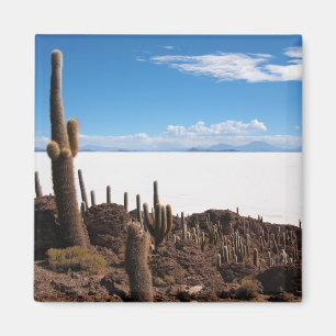 Jätte- kaktus på den Salar de Uyuni magneten Magnet