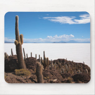 Jätte- kaktus på den Salar de Uyuni mousepaden Musmatta