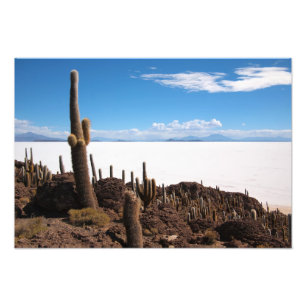 Jätte- kaktus på det Salar de Uyuni fototrycket Fototryck