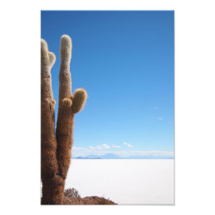 Jätte- kaktus på det Salar de Uyuni fototrycket Fototryck