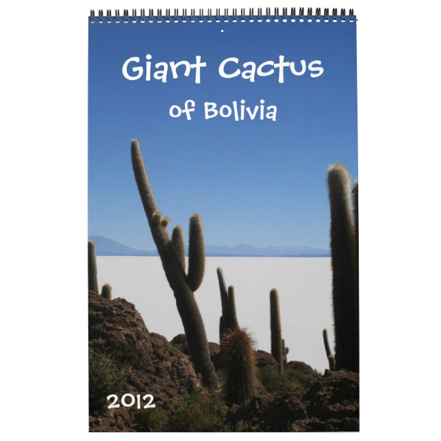 jätte- kaktuskalender 2012 kalender (Omslag)
