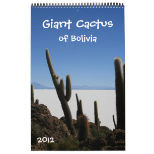 jätte- kaktuskalender 2012 kalender