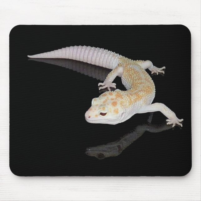 JÄTTE- LEOPARDGECKO MOUSEPAD MUSMATTA (Framsidan)
