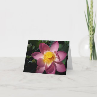 Jätte- lilja Notecard Kort