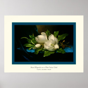 Jätte- Magnolias~ Martin Johnson Heade Poster