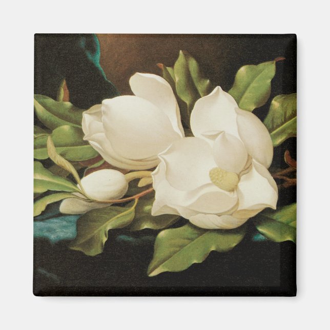 Jätte- Magnolias på en blåttsammettrasa vid MJ Magnet (Framsidan)