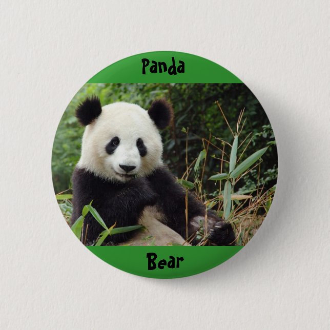 jätte-panda-china-stort (1), Panda, björn Knapp (Framsida)