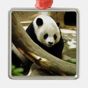 Jätte- Panda Gao Gao på den San Diego zooen Julgransprydnad Metall