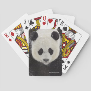 Jätte- Panda i snö Casinokort