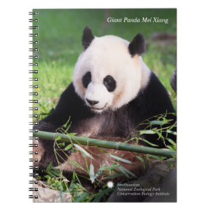 Jätte- Panda Mei Xiang Anteckningsbok Med Spiral
