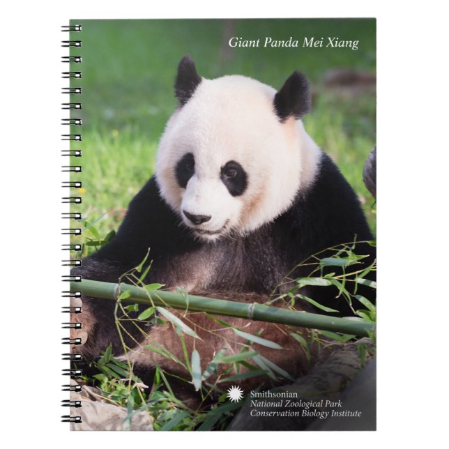Jätte- Panda Mei Xiang Anteckningsbok Med Spiral (Framsidan)