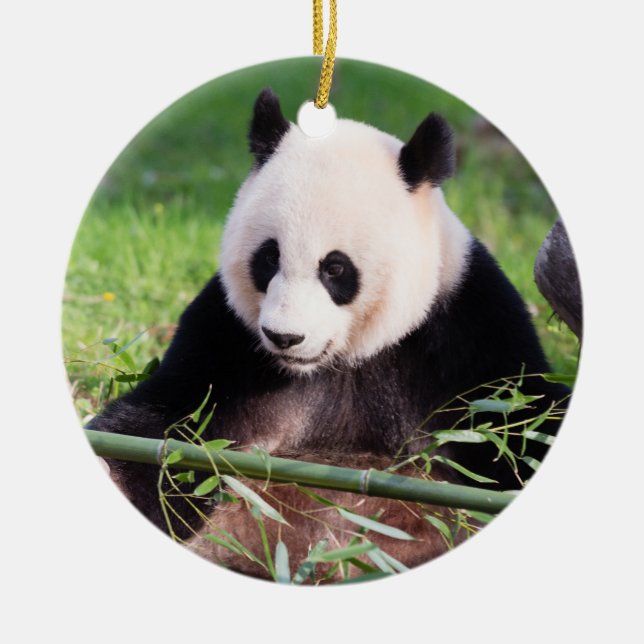 Jätte- Panda Mei Xiang Julgransprydnad Keramik (Framsidan)