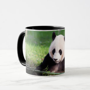Jätte- Panda Mei Xiang Mugg