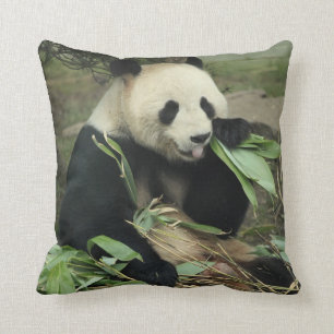 Jätte- panda- och babyPandadekorativ kudde