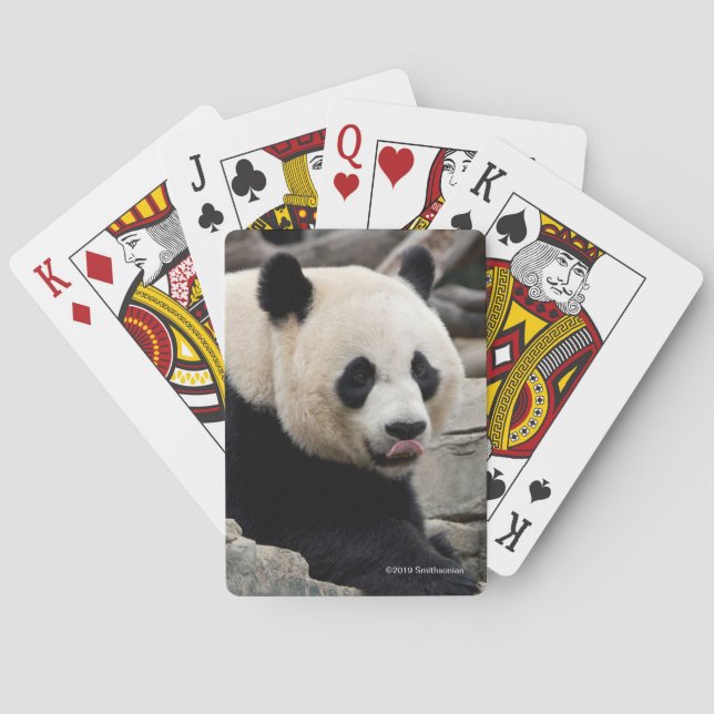 Jätte- Panda på stenar Casinokort (Baksidan)