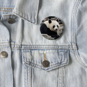 Jätte- Panda på stenar Knapp