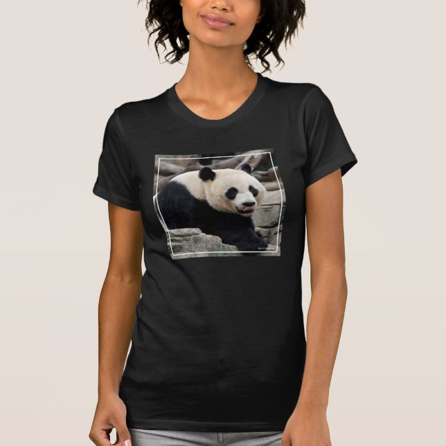 Jätte- Panda på stenar T Shirt (Framsida)
