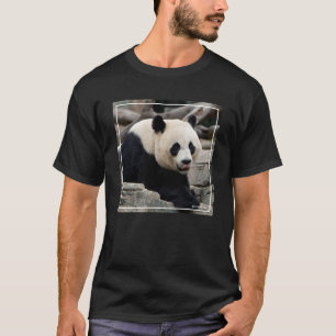 Jätte- Panda på stenar T Shirt