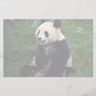Jätte- panda, Sichuan landskap, china Brevpapper
