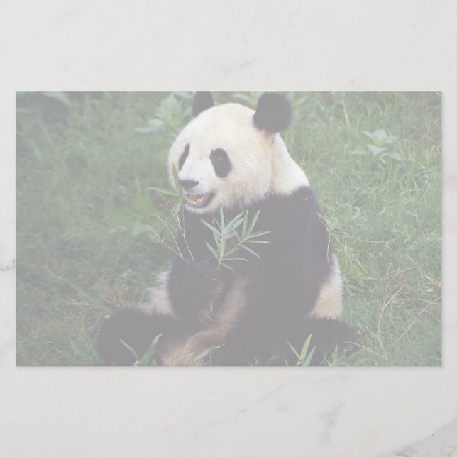 Jätte- panda, Sichuan landskap, china Brevpapper (Framsida)