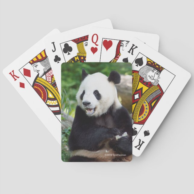 Jätte- Panda som äter bambu Casinokort (Baksidan)