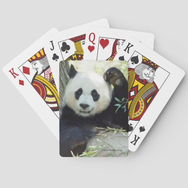 Jätte- Panda som vilar mot träd Casinokort (Baksidan)