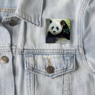 Jätte- Panda som vilar mot träd Knapp