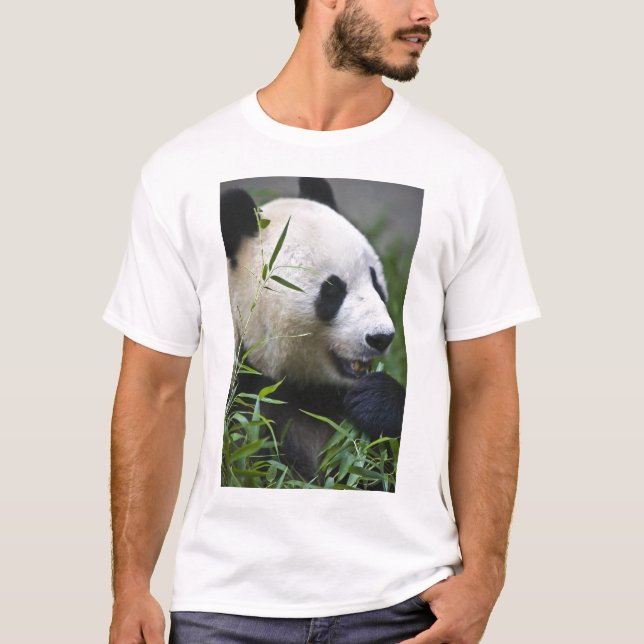 Jätte- Panda Tröja (Framsida)