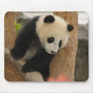 Jätte- Pandabjörn Mousepad Musmatta