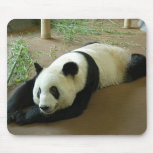 Jätte- Pandabjörn Mousepad Musmatta