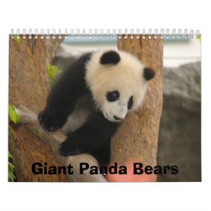 Jätte- Pandabjörnkalender, jätte- Pandabjörnar Kalender