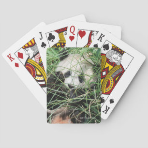 Jätte- Pandanederlag i gräs Casinokort