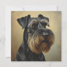 Jätte Schnauzer