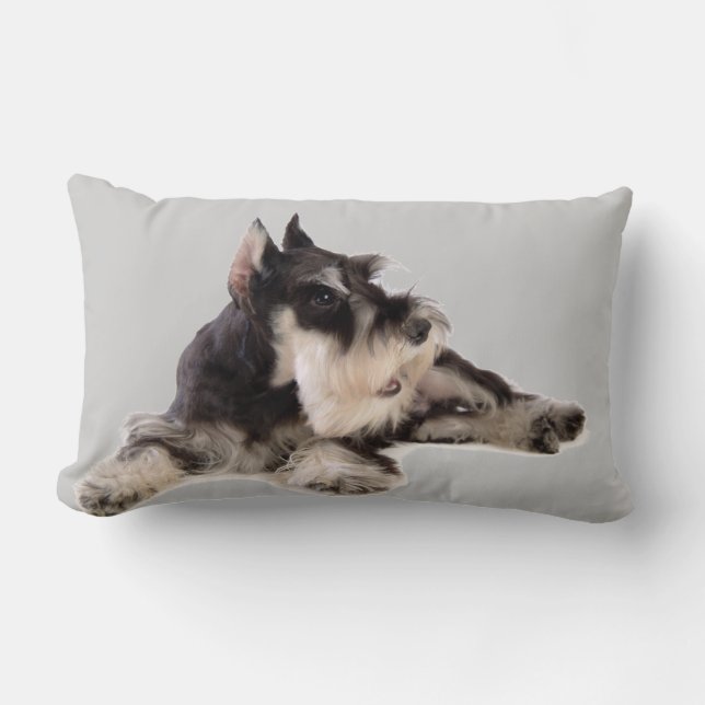 JÄTTE- SCHNAUZER LUMBARKUDDE (Framsida)