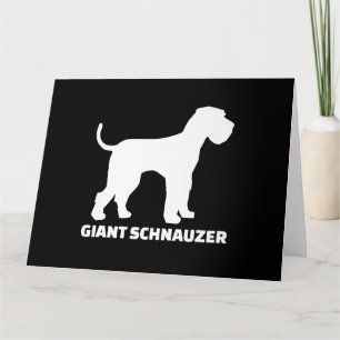 jätte schnauzer premium kort