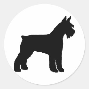 Jätte- Schnauzer (svarten) Runt Klistermärke
