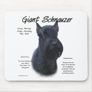 Jätte- Schnauzerhistoriedesign Musmatta