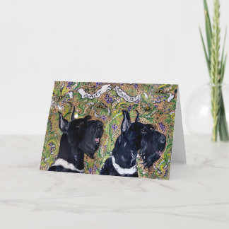 Jätte- Schnauzers Kort