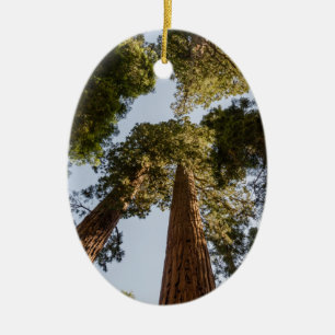 Jätte- Sequoias i Sequoianationalpark Julgransprydnad Keramik