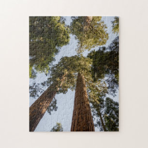 Jätte- Sequoias i Sequoianationalpark Pussel