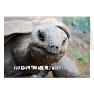 Jätte- sköldpaddaminnesschackningsperiod hälsningskort