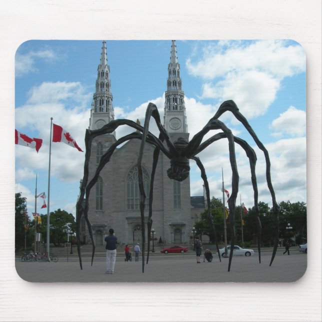Jätte- spindelskulptur Quebec Musmatta (Framsidan)