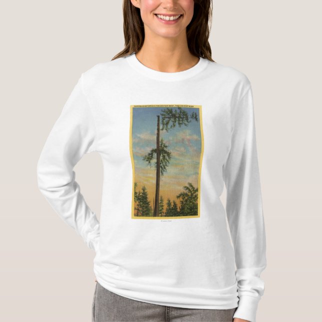 Jätte- Spruce för toppning för 200 ft. Segla Tee (Framsida)