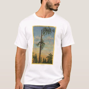 Jätte- Spruce för toppning för 200 ft. Segla Tee