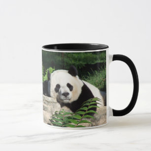 Jätte- ta sig en tupplur för Panda Mugg