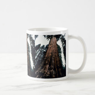 Jätte- träd - Sequoianationalpark Kaffemugg