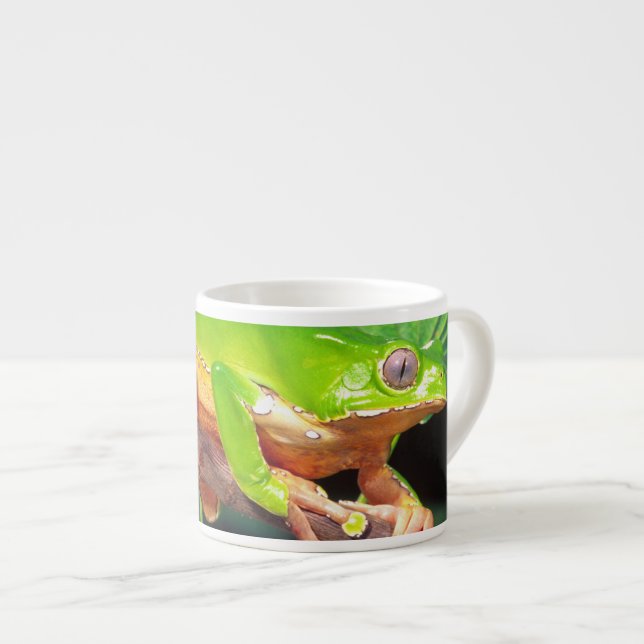 Jätte Tvåfärgad Apa Trädgroda, Phyllomedusa Espressomugg (Framsida höger)