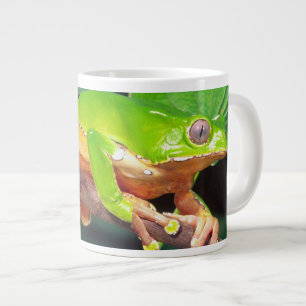 Jätte Tvåfärgad Apa Trädgroda, Phyllomedusa Jumbo Mugg
