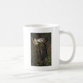 Jätte- vattenkryp som äter grodan kaffemugg