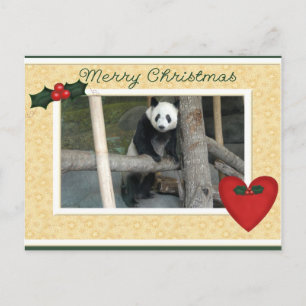 Jätte- vykort för jul för Pandabjörn- eller